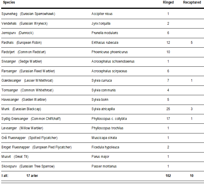 ringmaerkede_fugle_3_sep.png